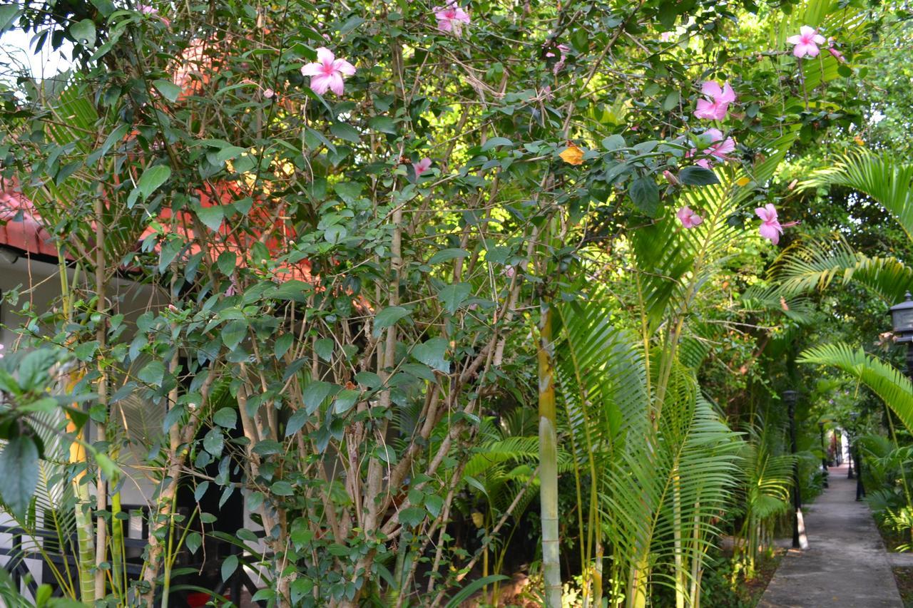 Nature Boutique Residence Ciudad de Siem Riep Exterior foto