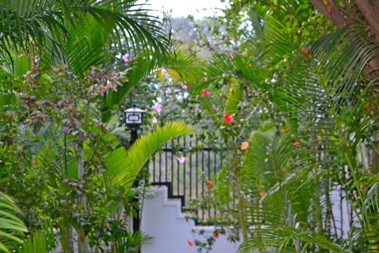 Nature Boutique Residence Ciudad de Siem Riep Exterior foto